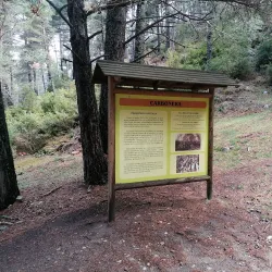 Camí de les Pardines - Ordino
