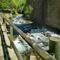 Farga Rossell - Ordino