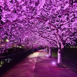 Parc Central d'Ordino - Ordino