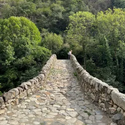 Fontaneda Romanesque Bridge - Sant Julia de Loria