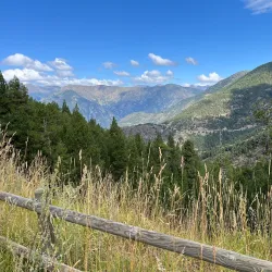La Rabassa Forest - Sant Julia de Loria