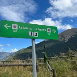 La Rabassa Forest - Sant Julia de Loria