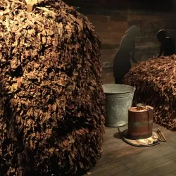 Tobacco Museum (Museu del Tabac) - Sant Julia de Loria