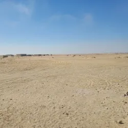 Agricultural Fields - Bibala