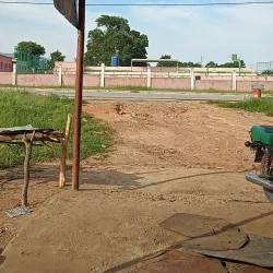 Agricultural Fields - Bibala