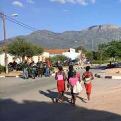 Agricultural Fields - Bibala