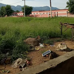 Agricultural Fields - Bibala