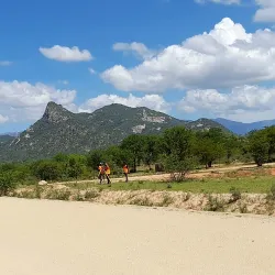 Agricultural Fields - Bibala