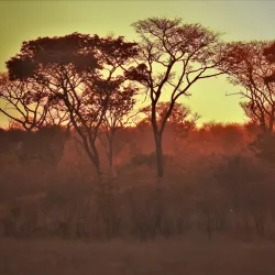 Natural Wildlife Areas - Bibala