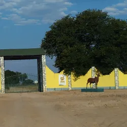 Natural Wildlife Areas - Bibala