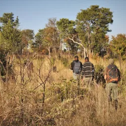 Natural Wildlife Areas - Bibala