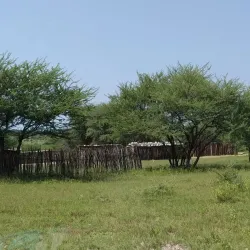 Natural Wildlife Areas - Bibala