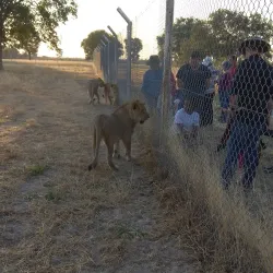 Natural Wildlife Areas - Bibala