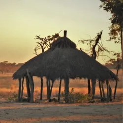 Natural Wildlife Areas - Bibala