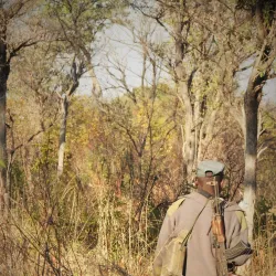 Natural Wildlife Areas - Bibala