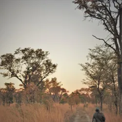 Natural Wildlife Areas - Bibala