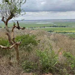 Parque Nacional da Quiçama (Quiçama National Park) - Cacuaco