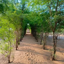 Scenic Viewpoints - Calenga