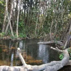 Lunda Norte Wildlife Reserve - Dundo