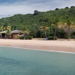 Crocus Bay - South Hill Village