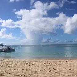 Crocus Bay - South Hill Village