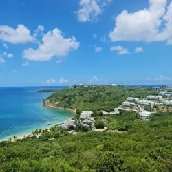 Crocus Bay - South Hill Village