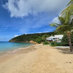 Crocus Bay - South Hill Village