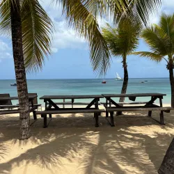 Crocus Bay - South Hill Village