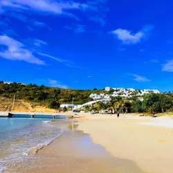 Crocus Bay - South Hill Village