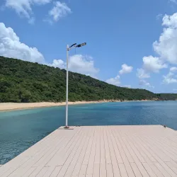 Crocus Bay - South Hill Village