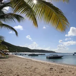 Crocus Bay - South Hill Village