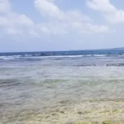 Little Bay Beach - South Hill Village