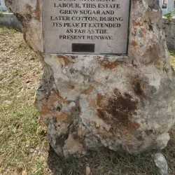 Wallblake House - South Hill Village