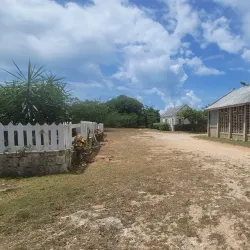 Wallblake House - South Hill Village