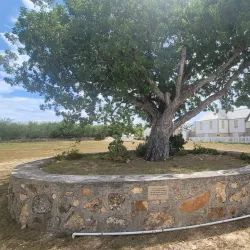 Wallblake Church - The Valley