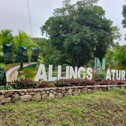 Wallings Nature Reserve - All Saints