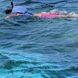 Cades Reef - English Harbour