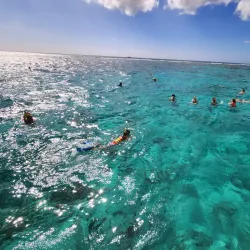 Cades Reef - English Harbour