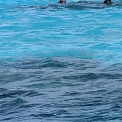 Cades Reef - English Harbour