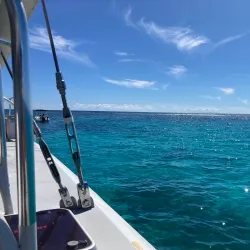 Cades Reef - English Harbour