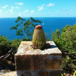 English Harbour Village - English Harbour