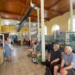 Museum of Antigua and Barbuda - English Harbour