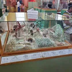 Museum of Antigua and Barbuda - English Harbour