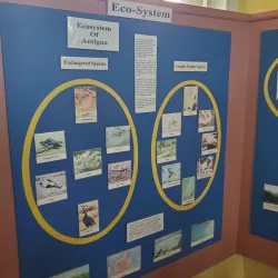 Museum of Antigua and Barbuda - English Harbour