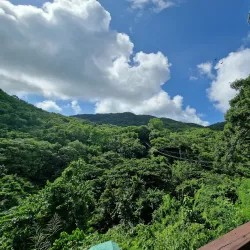 Antigua Rainforest Canopy Tour - Willoughby Bay
