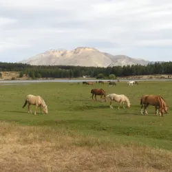 Laguna La Zeta - Alto Río Senguer