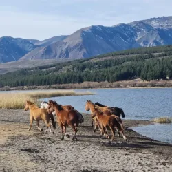 Laguna La Zeta - Alto Río Senguer