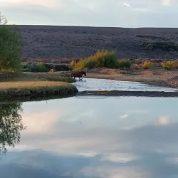 Museo Regional Alto Río Senguer - Alto Río Senguer