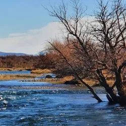 Museo Regional Alto Río Senguer - Alto Río Senguer