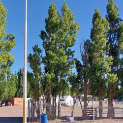 Museo Regional Alto Río Senguer - Alto Río Senguer